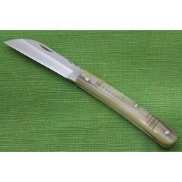 Coltello Consigli Casertano