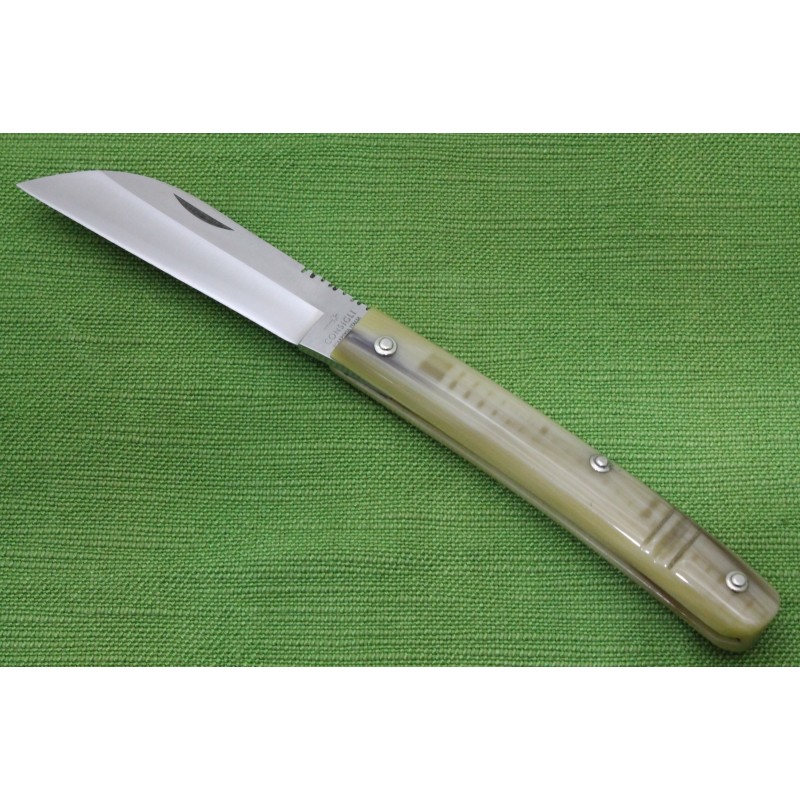 Coltello Consigli Casertano Coltello Consigli Casertano