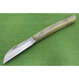 Coltello Consigli Casertano