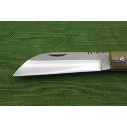 Coltello Consigli Casertano