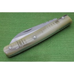 Coltello Consigli Casertano