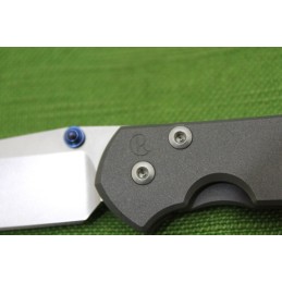 Coltello Chris Reeve Sebenza 21 Small