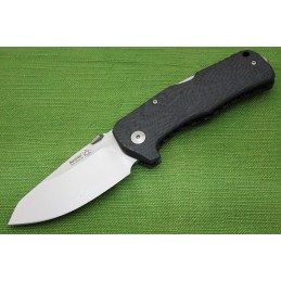 Lion Steel TM1 Carbonio