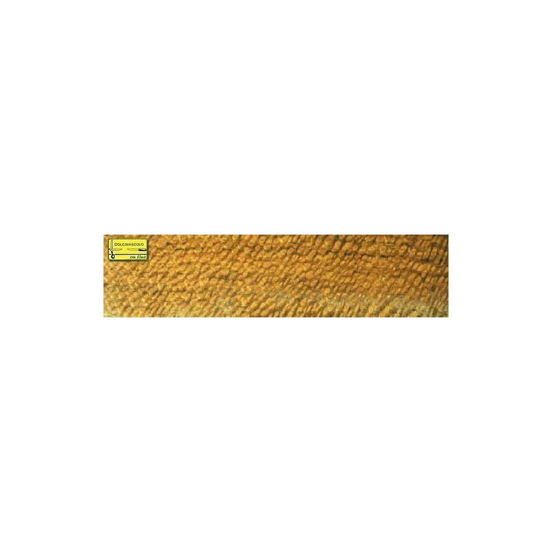 Australian Beefwood Australian Beefwood