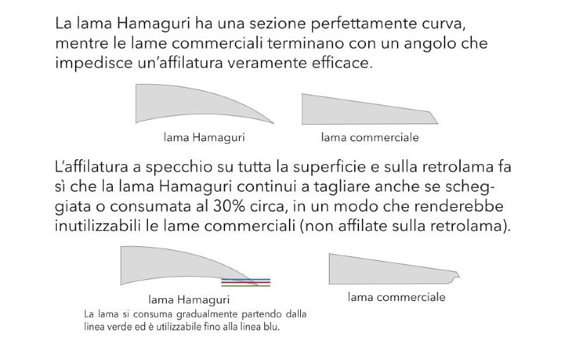 differenza lamamod800.jpg