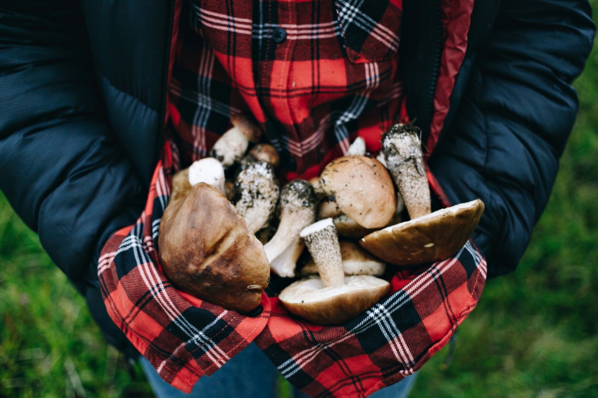 Coltelli per Funghi: Utilità, Utilizzo e Manutenzione